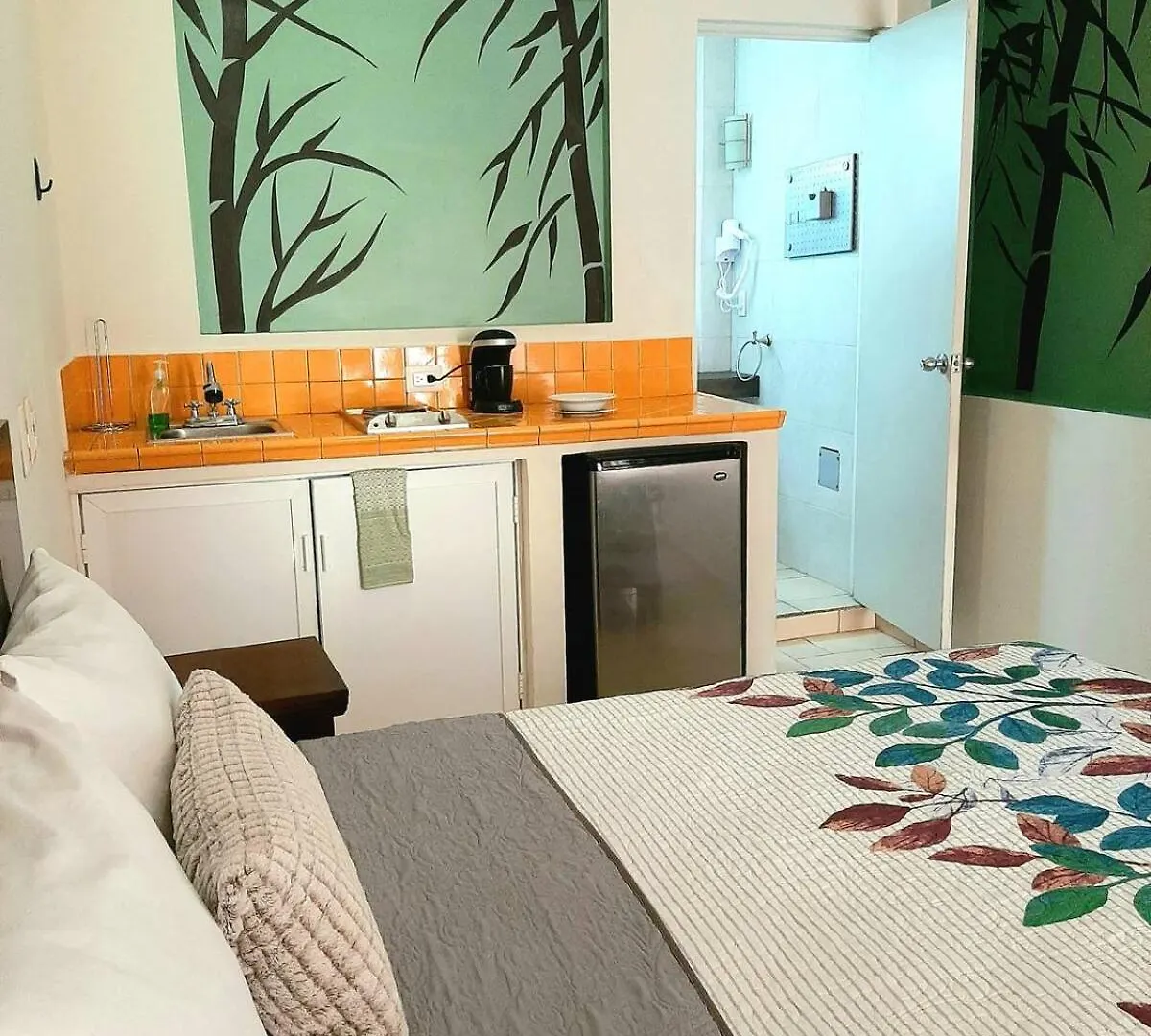 Terraza Studios Apartment Кабо-Сан-Лукас